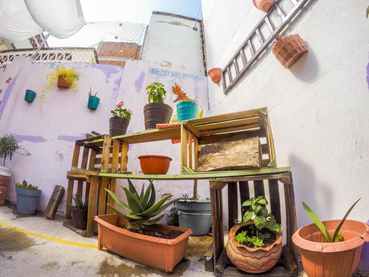 Casa Papa Chango San Cristóbal de Las Casas Екстериор снимка